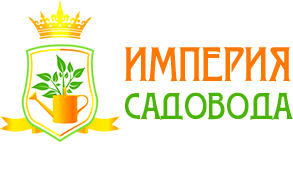 Мой магазин